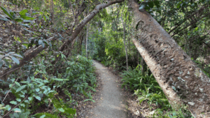 Everglades National Park Fort Lauderdale FL