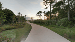 Helene Klein Pineland Preserve Coconut Creek FL