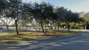 Sabal Pines Park Coconut Creek FL