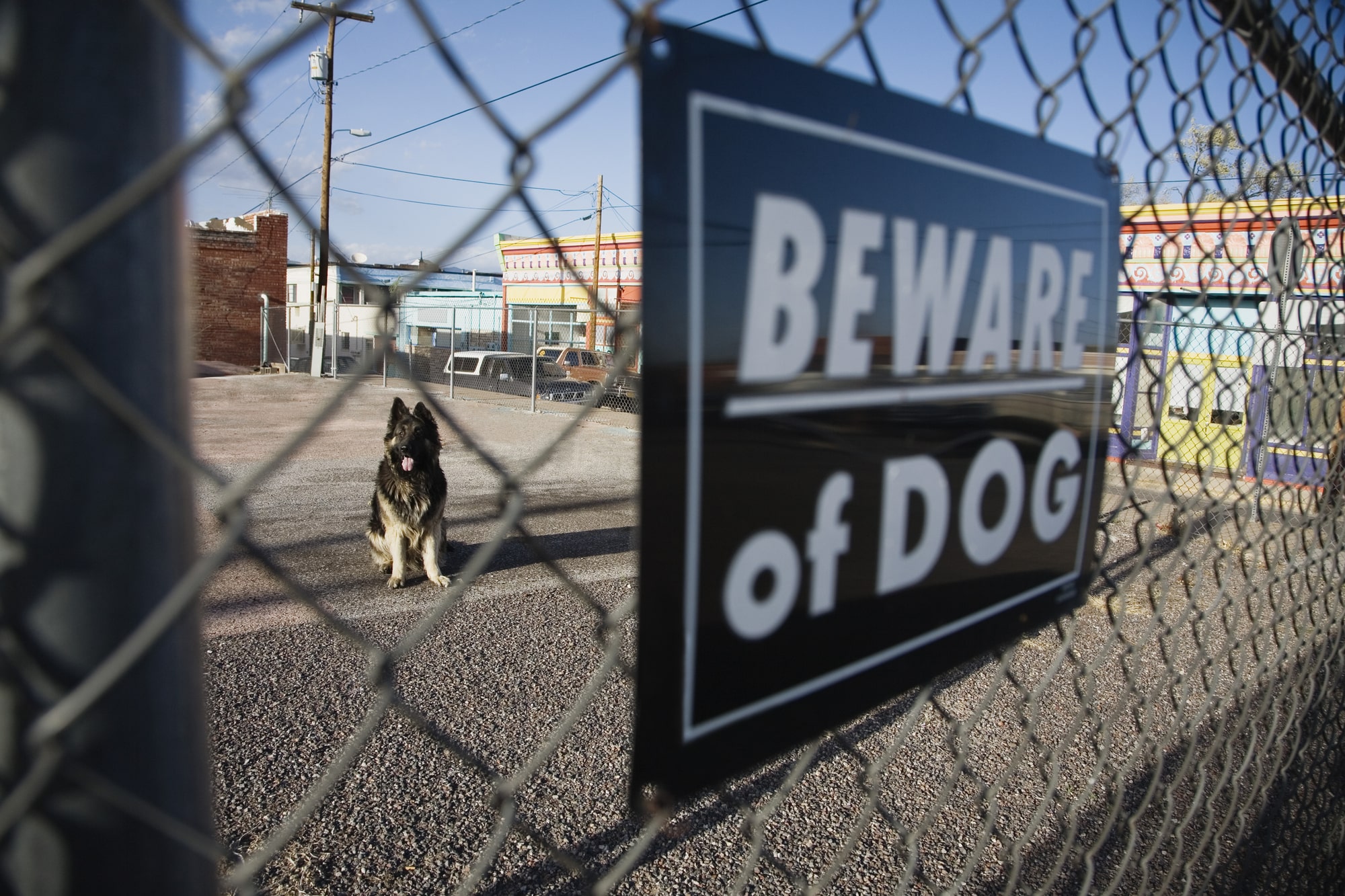 Dog Bite Lawyer Tamarac, FL